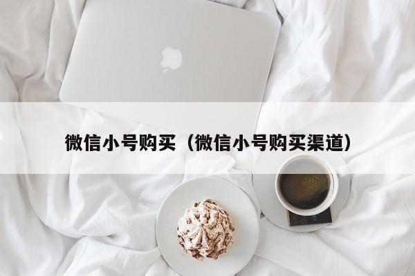 微信小号购买（微信小号购买渠道）