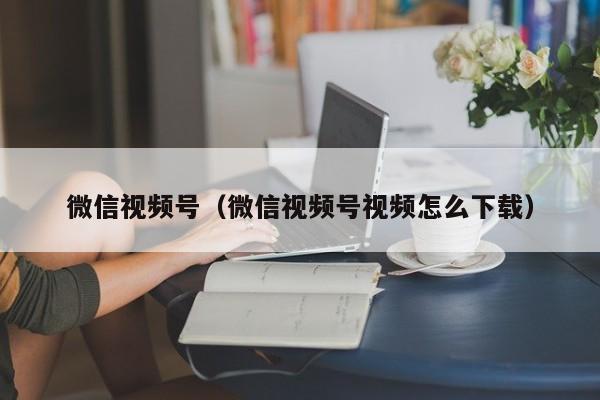 微信视频号（微信视频号视频怎么下载）