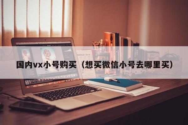 国内vx小号购买（想买微信小号去哪里买）