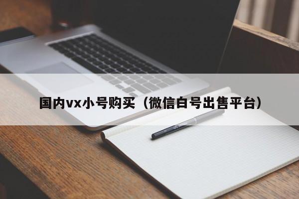 国内vx小号购买（微信白号出售平台）