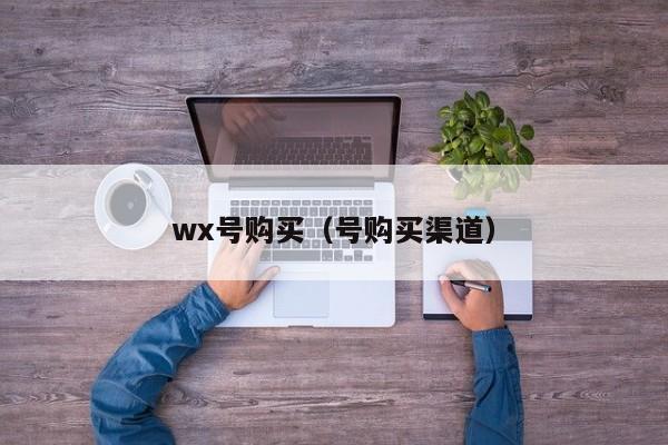 wx号购买（号购买渠道）