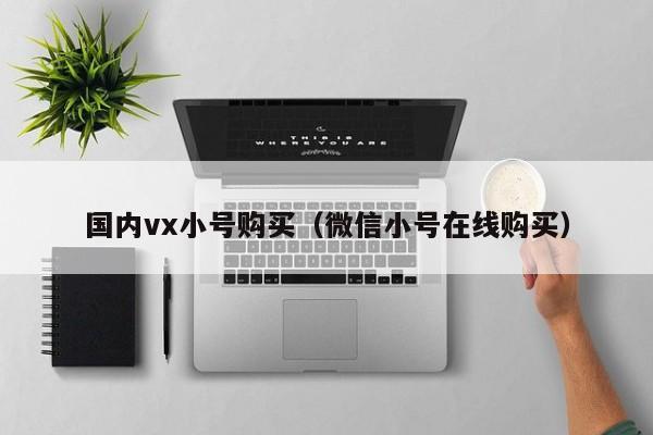 国内vx小号购买（微信小号在线购买）