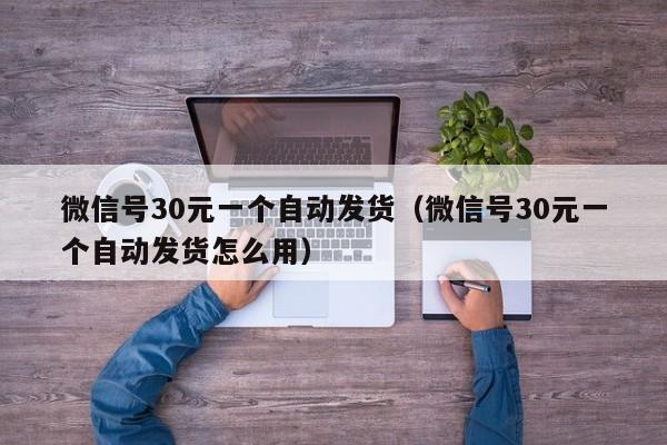 微信号30元一个自动发货（微信号30元一个自动发货怎么用）