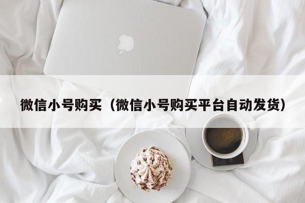 微信小号购买（微信小号购买平台自动发货）