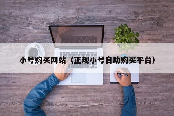 小号购买网站（正规小号自助购买平台）
