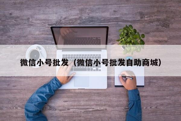 微信小号批发（微信小号批发自助商城）