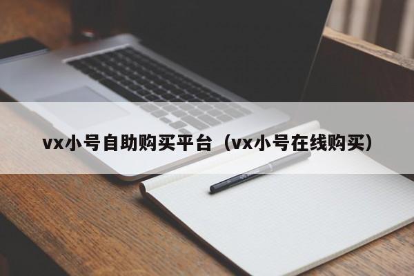 vx小号自助购买平台（vx小号在线购买）