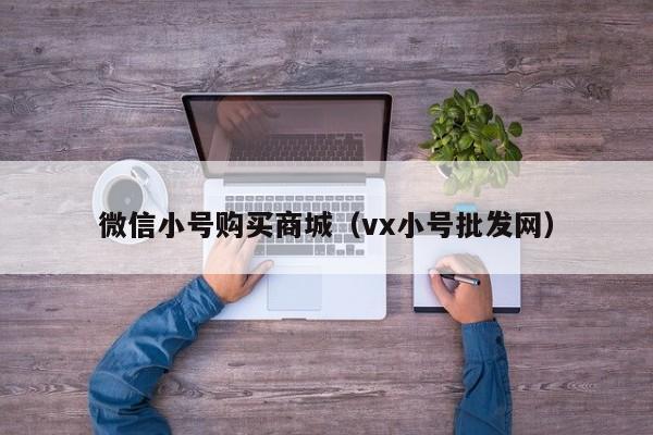 微信小号购买商城（vx小号批发网）