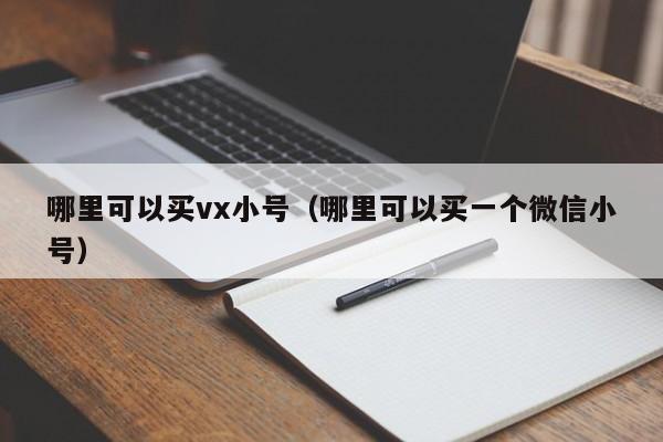 哪里可以买vx小号（哪里可以买一个微信小号）