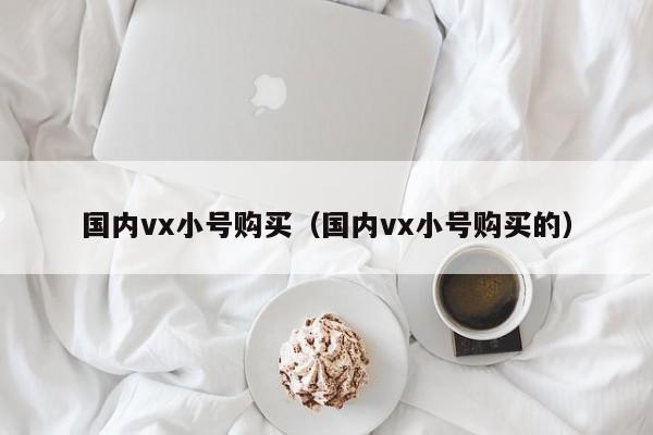 国内vx小号购买（国内vx小号购买的）