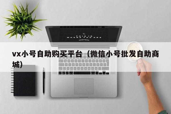 vx小号自助购买平台（微信小号批发自助商城）