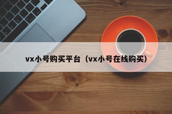 vx小号购买平台（vx小号在线购买）