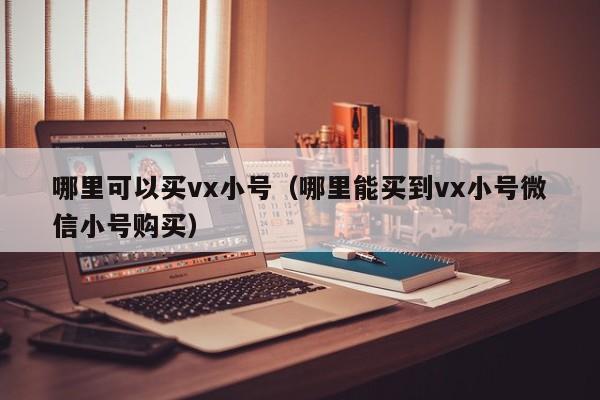 哪里可以买vx小号（哪里能买到vx小号微信小号购买）
