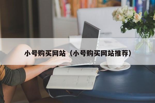 小号购买网站（小号购买网站推荐）