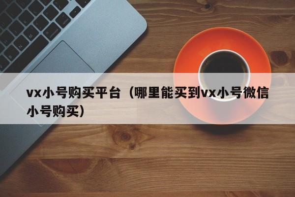 vx小号购买平台（哪里能买到vx小号微信小号购买）