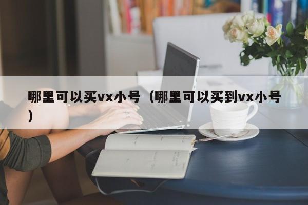 哪里可以买vx小号（哪里可以买到vx小号）