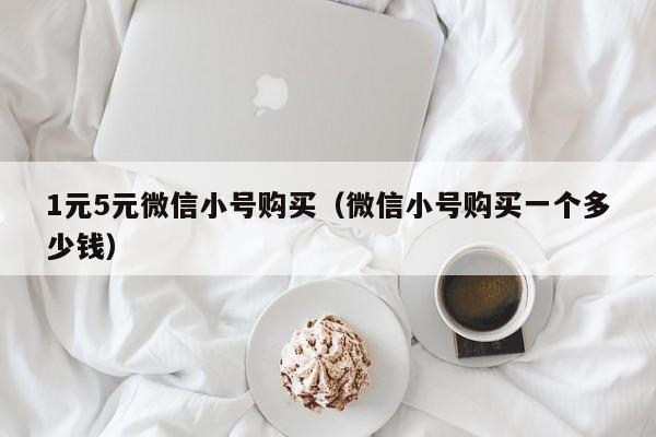 1元5元微信小号购买（微信小号购买一个多少钱）