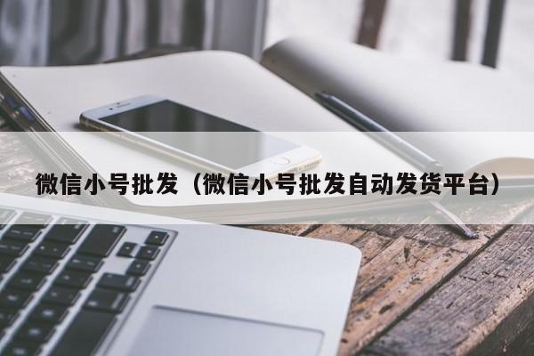 微信小号批发（微信小号批发自动发货平台）