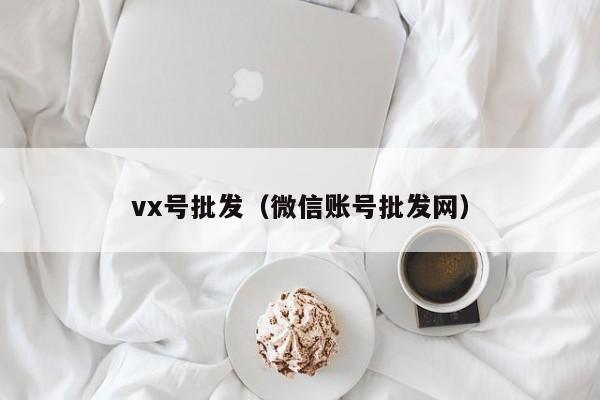 vx号批发（微信账号批发网）