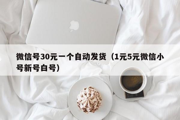 微信号30元一个自动发货（1元5元微信小号新号白号）