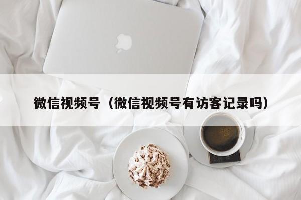 微信视频号（微信视频号有访客记录吗）