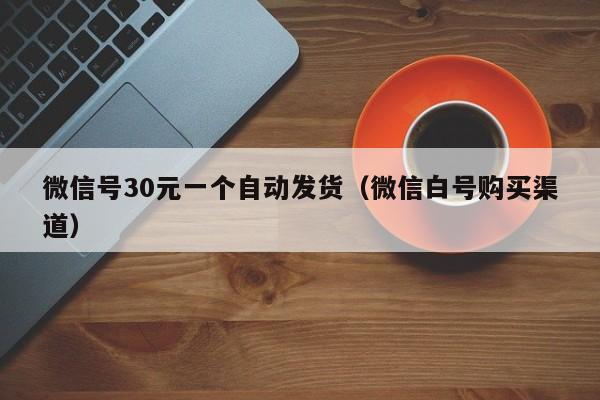 微信号30元一个自动发货（微信白号购买渠道）