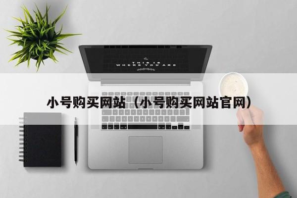 小号购买网站（小号购买网站官网）